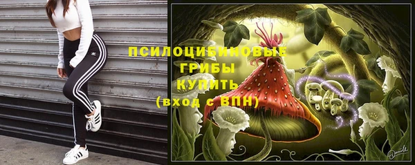 ECSTASY Сатка