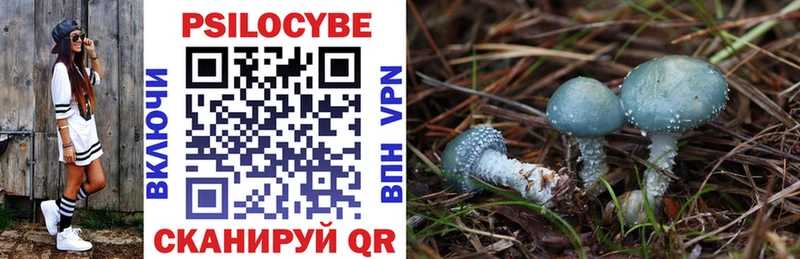 Псилоцибиновые грибы Psilocybe  хочу наркоту  Сольцы 